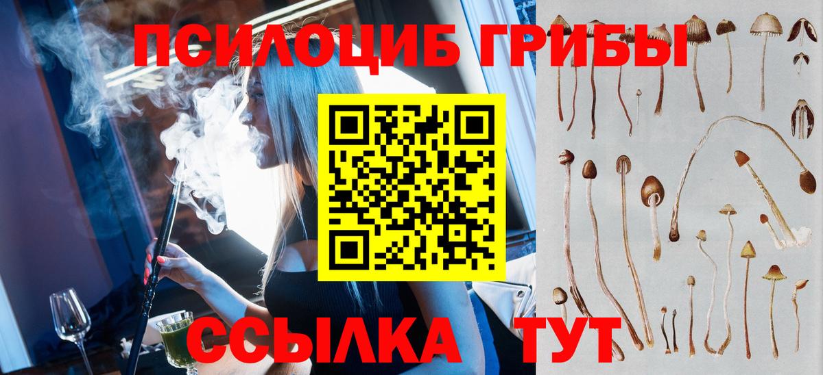 Галлюциногенные грибы GOLDEN TEACHER  Галлюциногенные грибы мухоморы  Керчь  цена наркотик  Вход с VPN 